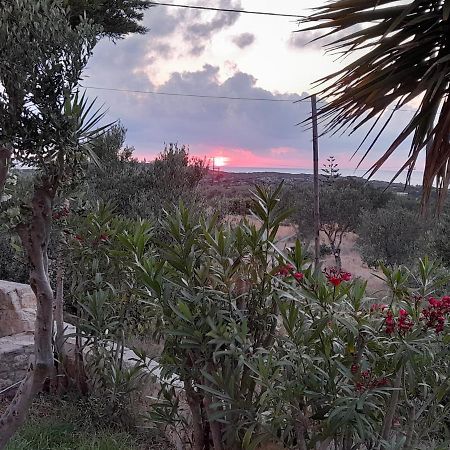 Villa Evenos Of 3 Bedrooms - Irida Country House Of 2 Bedrooms With Private Pools Elafonisi Exteriér fotografie