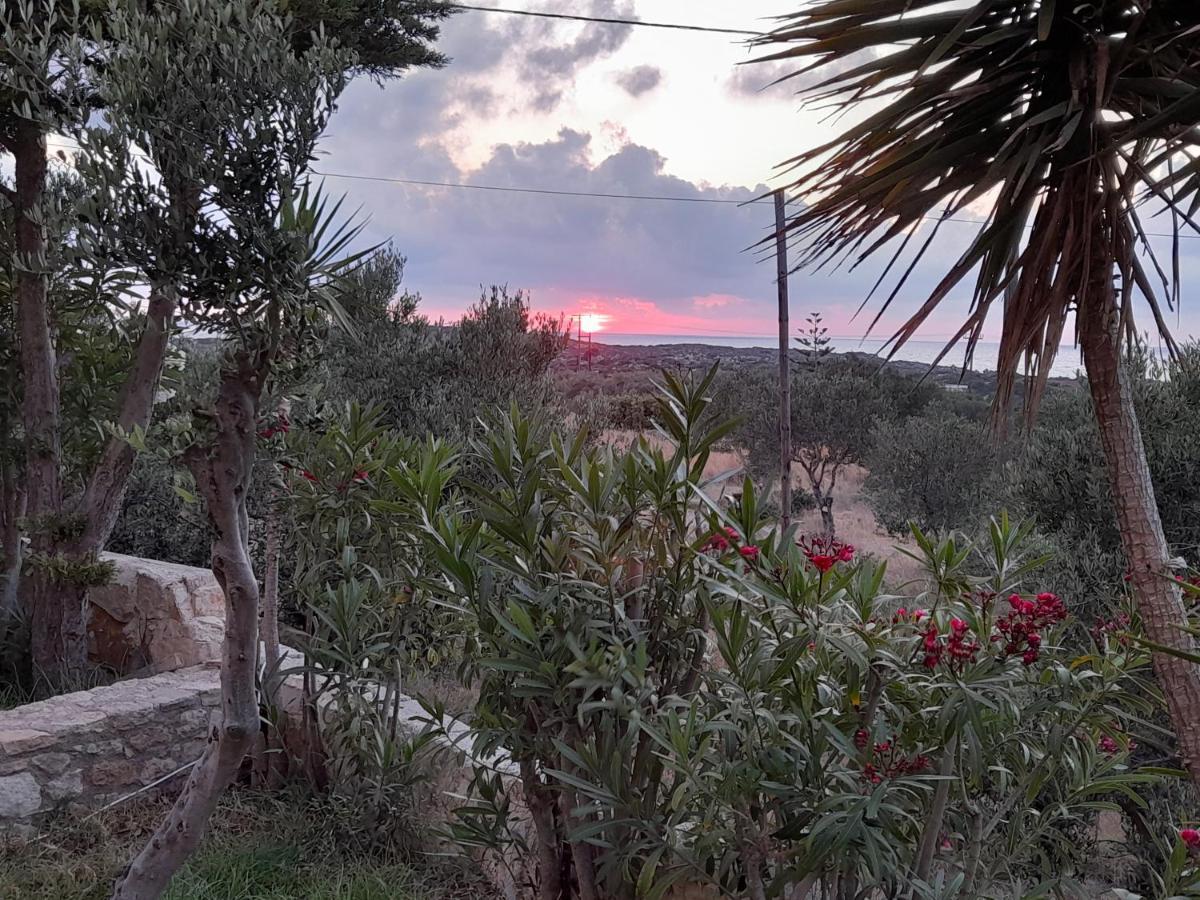 Villa Evenos Of 3 Bedrooms - Irida Country House Of 2 Bedrooms With Private Pools Elafonisi Exteriér fotografie